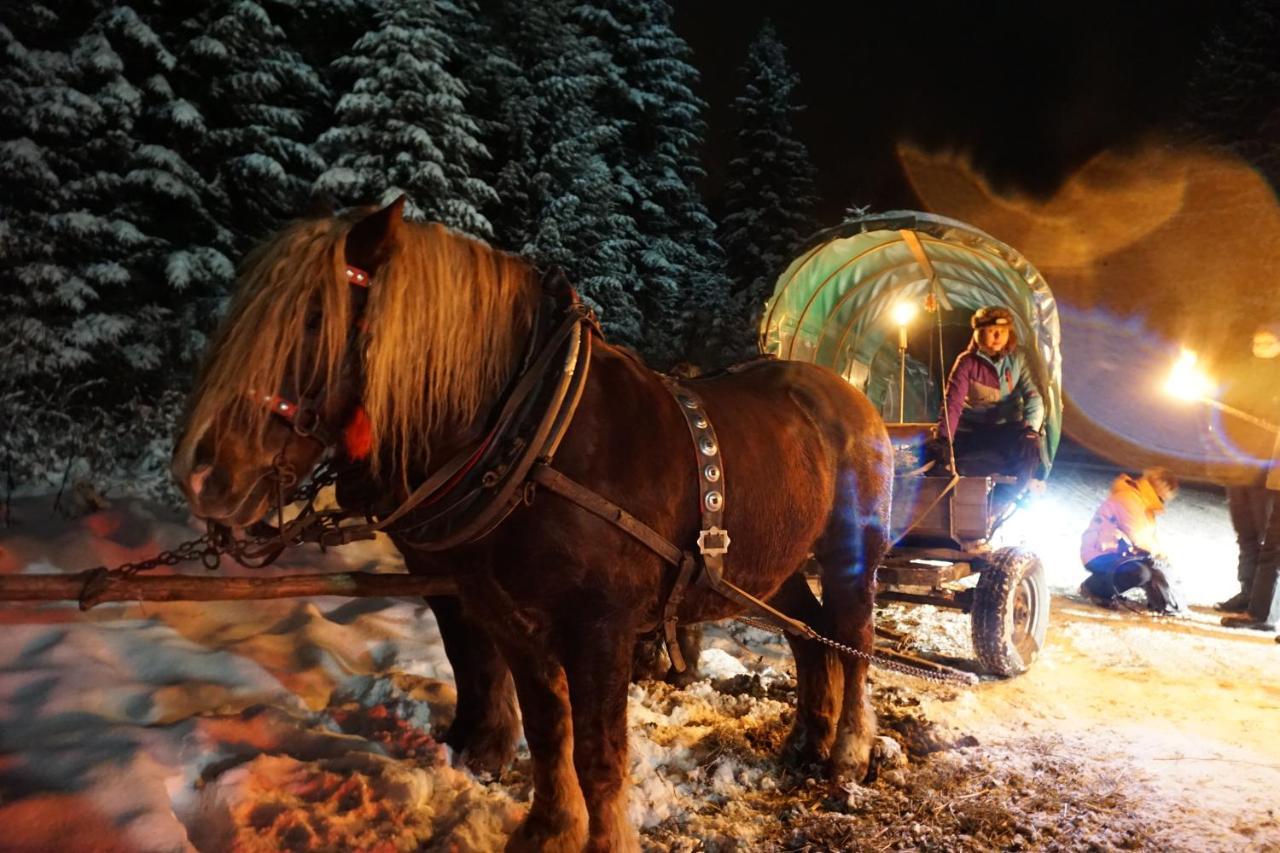 Chata nad Roztokami Baligród Exteriér fotografie